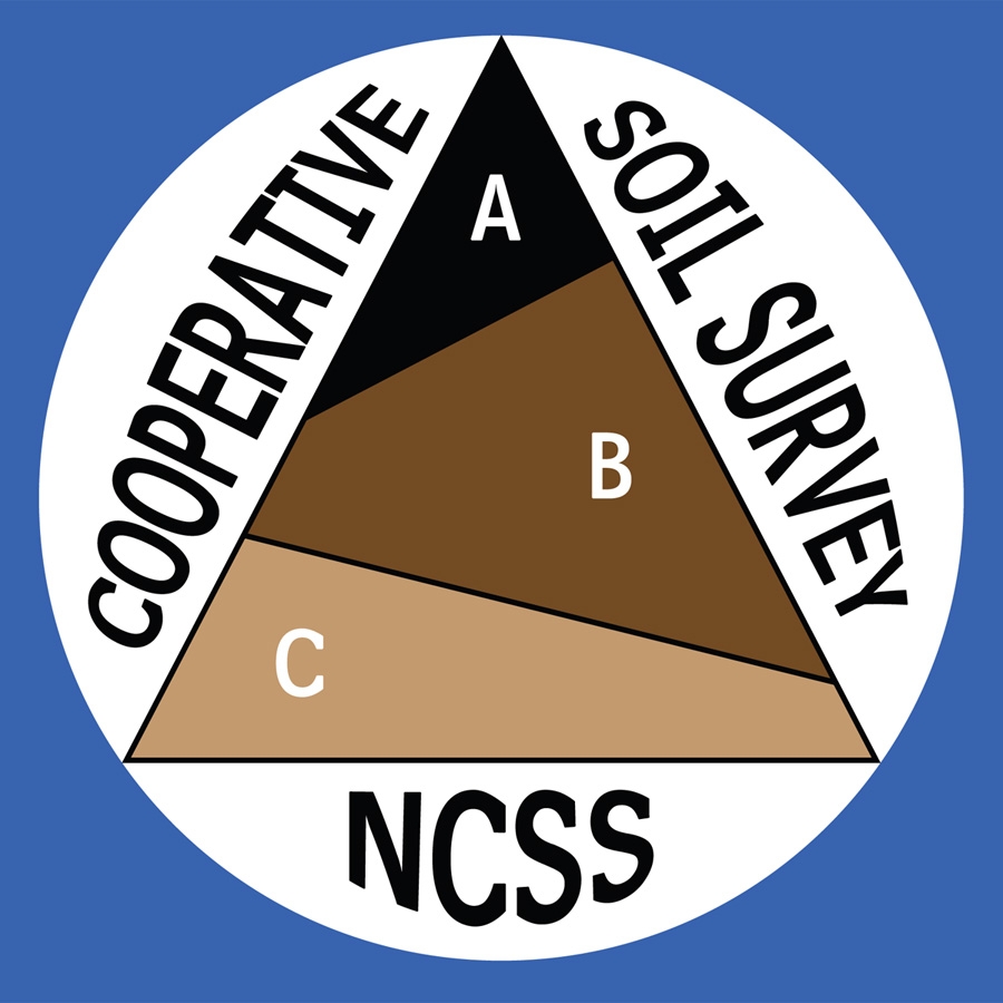 NSSC SSL Logo