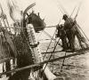 Whalemen remove the jaw of a sperm whale