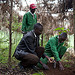 Kenyan Youth Tend to Seedlings