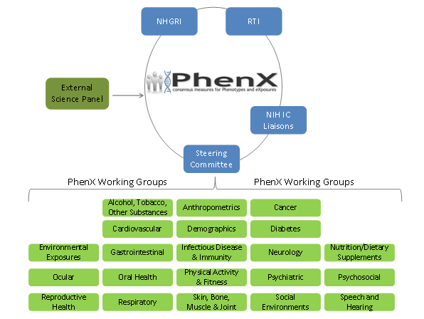 PhenX structure