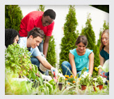 Teens working in a garden