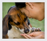 Girl with a dog