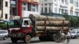 A truck loaded with teak logs runs on a road in Rangoon, Burma. U.S. Secretary of State announced the US will ease its import ban on Burma, Sept. 27, 2012.