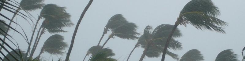 August 23rd, 2004. Trees are bending due to the strong winds. 