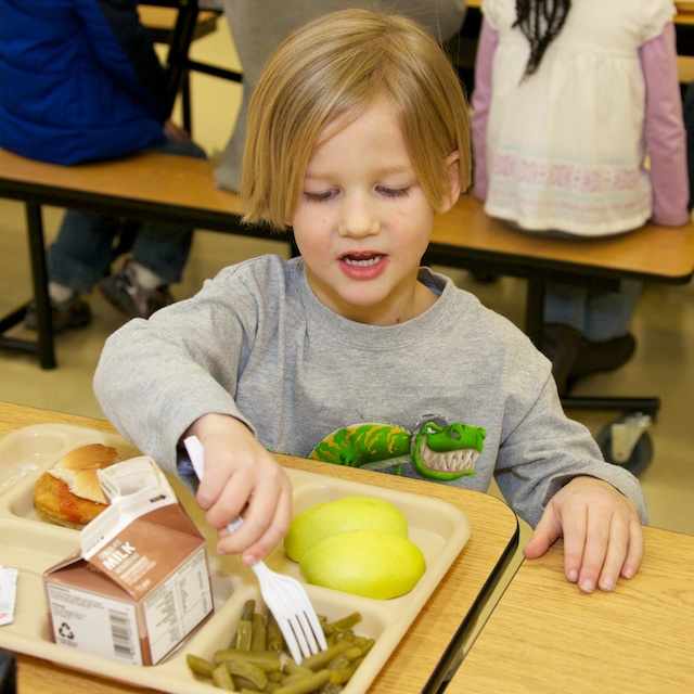 Small elementary school boy with school lunch