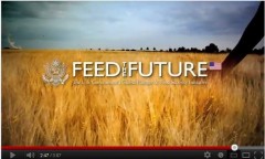 Feed the Future