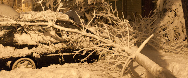 A snow-laden tree resting on a car in a snow covered landscape