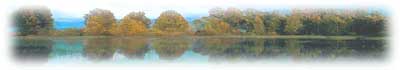 Vignette image of fall trees standing on the bank of a lake, with their reflections showing in the lake.