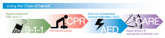 Chain of Survival graphic: 1. Rapid activation of EMS via 9-1-1.  2. CPR started quickly.  3. Early use of automated external defibrillator (AED).  4. Rapid delivery of appropriate and timely care.