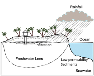 Drawing of a coastal parcel of land that has a house with a well that extends down into the freshwater lens. The image shows rainfall, the ocean, and land with a subterranean sketch. The land below the ocean is labeled as seawater and low permeability sediments. A region labeled freshwater lens is located below the land that is above the ocean level. Another region labeled infiltration lies at the ocean level below the land of the island (or other coastal land represented by the drawing).
