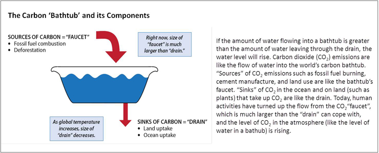 Illustration of a thick red arrow going into the bathtub and a thin red arrow exiting the tub. The sources of carbon, or the 'faucet' is shown by a thick red arrow that represents sources like fossil fuel combustion and deforestation. The 'drain' is shown by the smaller red arrow and represents sinks of carbon, like land and ocean uptake. Text boxes highlight that right now, the size of the faucet (or sources of carbon) is much larger than the drain (or sinks of carbon) and that as global termperature increases the size of the drain will decrease. Writing to the right of the image explains that: If the amount of water flowing into a bathtub is greater than the amount of water leaving through the drain, the water level will rise. Carbon dioxide emissions are like the flow of water into the world’s carbon bathtub. 'Sources' of carbon dioxide emissions such as fossil fuel burning, cement manufacture, and land use are like the bathtub's faucet. 'Sinks' of carbon dioxide in the ocean and on land (such as plants) that take up carbon dioxide are like the drain. Today, human activities have turned up the flow from the carbon dioxide 'faucet', which is much larger than the 'drain' can cope with, and the level of carbon dioxide in the atmosphere (like the level of water in a bathub) is rising. 