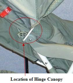 Picture Showing Location of Hinge Canopy