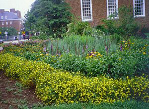 BayScape  at MD State Treasury Building