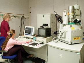 FEI Strata DB235 FIB/SEM (Focused Ion Beam/High Reolution Scanning Electron Microscope) 