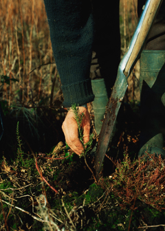 Forest and conservation workers