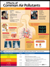 Effects of Common Air Pollutants medical poster