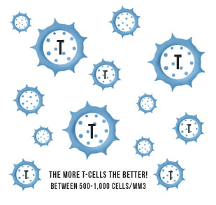 The More T-Cells the Better! Between 500-1000 Cells/MM3