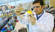 Rajit Sapar analyzes samples at the Joint BioEnergy Institute's lab. | Photo by Roy Kaltschmidt at Lawrence Berkeley National Lab.