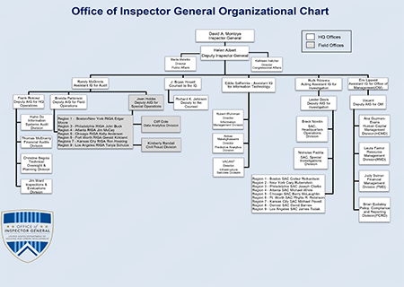 Organizational Chart