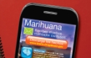 Marijuana Cell Phone Poster Thumbnail