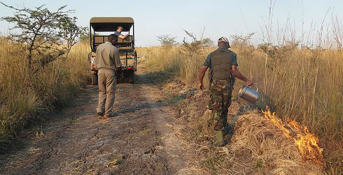 Starting controlled fires in Kafue National Park