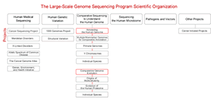 Diagram of Scientific Organization