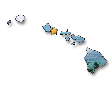 State of Hawaii