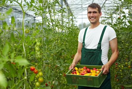 Man in a garden green house