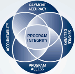 Program Integrity, Payment Accuracy, Service Delivery, Program Access, Accountability