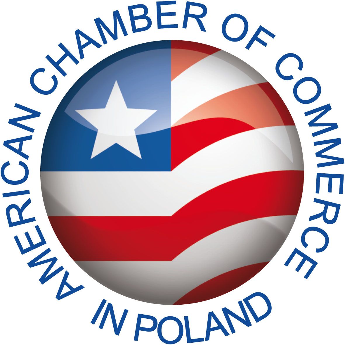 02102011AmCham Logo