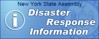 Disaster Response Information