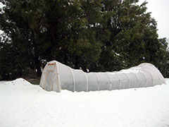 Shoshone-Paiute Diabetes Program Hoop House