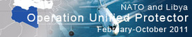 libya-oup-banner-2011.jpg