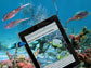 image of an iPad under water with fish