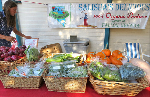 2012 Specialty Crop Block Grant will help expand existing efforts by the Fallon Small Farm Collaborative for create new market opportunities for Churchill County farmers, like the ones pictured above.  Photo courtesy Fallon Farmers’ Collaborative