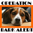Operation Bark Alert: File a complaint against an unlicensed breeder