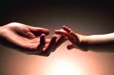 Photograph of a baby's hand holding an adult's hand