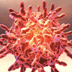 Illustration of the human rhinovirus.