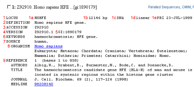 HFE Sequence Record