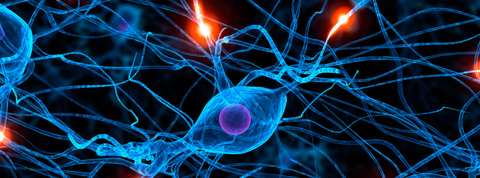 Illustration of cell signaling.