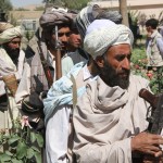 A total of 125 insurgents, mostly from Muqur and Qadis districts have materialized the abandonment of the armed struggle in the province of Badghis, handing their weapons over in a ceremony.