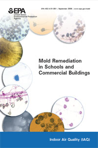 Mold Remediation in Schools and Commercial Buildiings