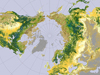 Graphic showing global forest cover