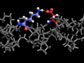 image of a molecule