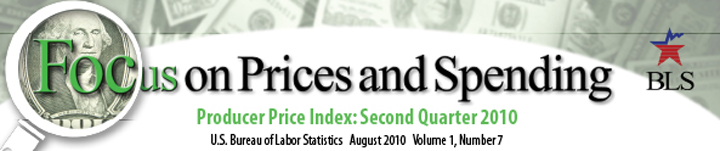 Focus on Prices and Spending, Producer Price Indexes, Volume 1, Number 7