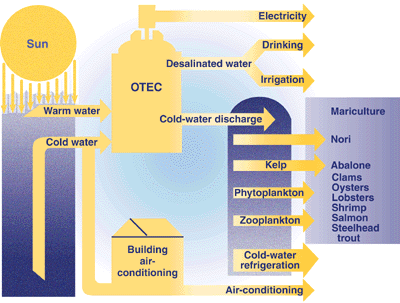 OTEC Plant