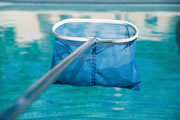 A pool skimmer.