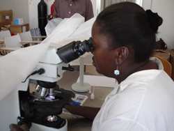 An expert microscopist works at the National Institute for Public Health (Instituto  Nacional de Saúde Pública) in Luanda, Angola.  Credit: Julie Thwing, CDC