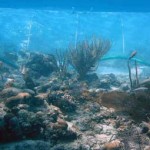 Testing for changes in ocean chemistry.