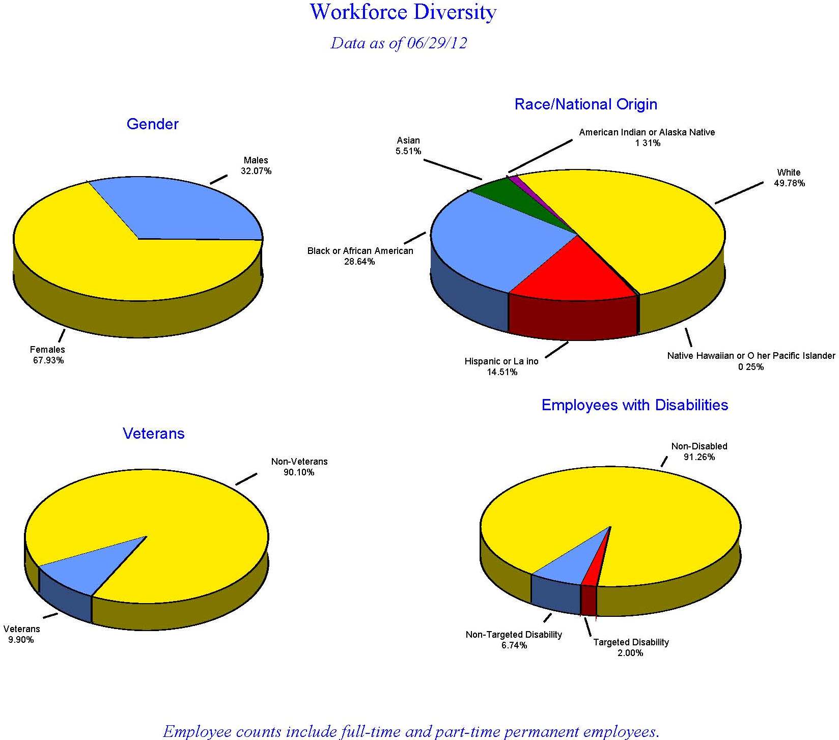 Diversity Pie Chart